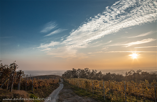 Consorzio Vie Vicinali: nuove elezioni per garantire continuità e sicurezza alla rete stradale rurale